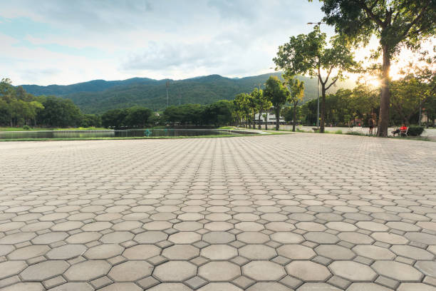 Best Gravel Driveway Installation in Newport, NC